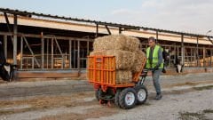 MOTORİKA FT.M-01 4X4    ( MOTORLU EL ARABASI )